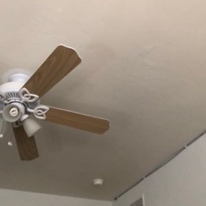 Meet your Posher, Hailey